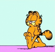 Garfield