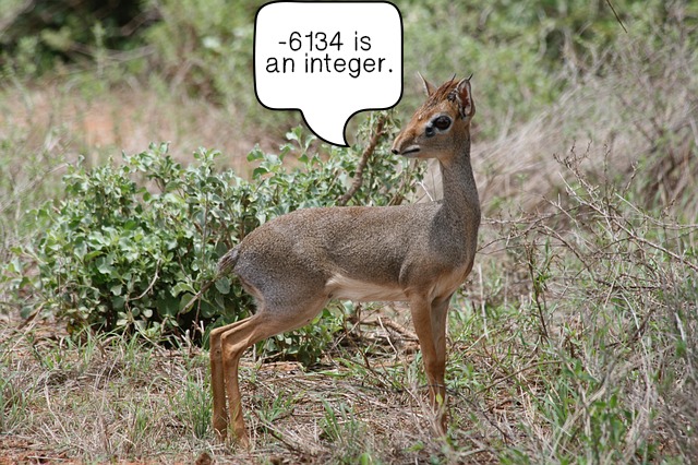 A dik-dik saying "-6134 is an integer."