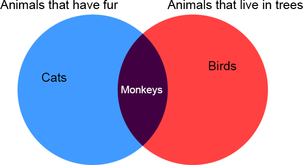 Venn diagram:
Animals that have fur: cats, monkeys
Animals that live in trees: monkeys, birds