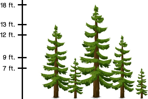 5 trees of heights 13 ft., 9 ft., 18 ft., 13 ft., and 7 ft.