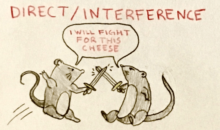 Two mice take part in direct or interference competition when they fight over cheese.