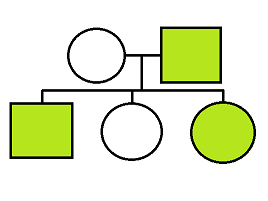 A pedigree. A an unaffected female has children with an affected male. Their children are an affected male, unaffected female, and affected female.