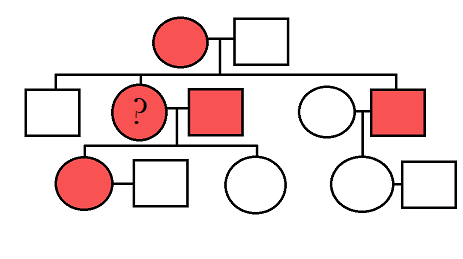 An affected female has children with an unaffected male. Their children are an unaffected male, affected female marked with a question mark, and an affected male. The affected male has children with an unaffected female. Their daughter is unaffected. The affected female labeled with a question mark has children with a male who is also affected. Their children are an affected female and an unaffected female.
