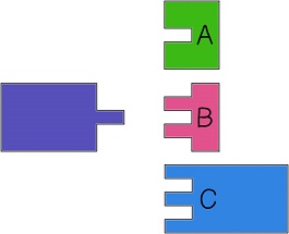 The purple base has one binding site. Base A has one bonding site, Base B has two, and Base C has two.