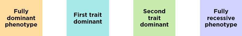 Key of colors 