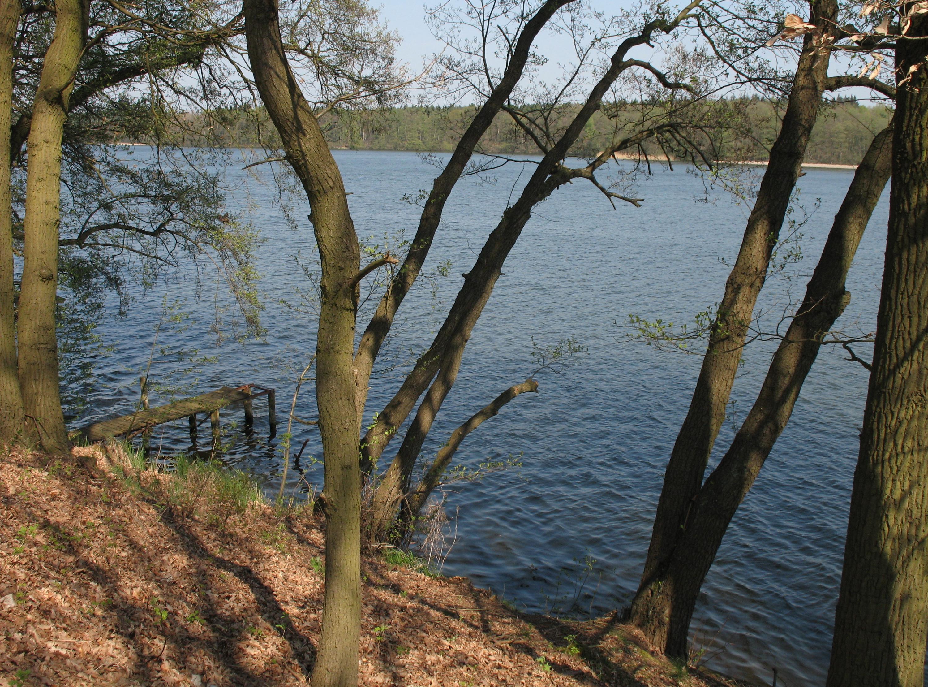 Photograph of a lake surrounded by trees.