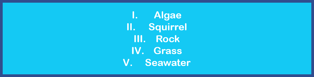 1. Algae. 2: Squirrel. 3: Rock. 4: Grass. 5: Seawater