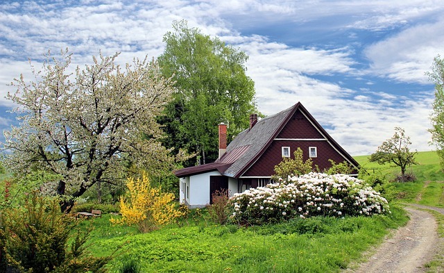 A cottage garden in the countryside