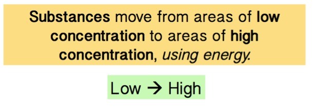 Pumps move substances from areas of low concentration to areas of high concentration.