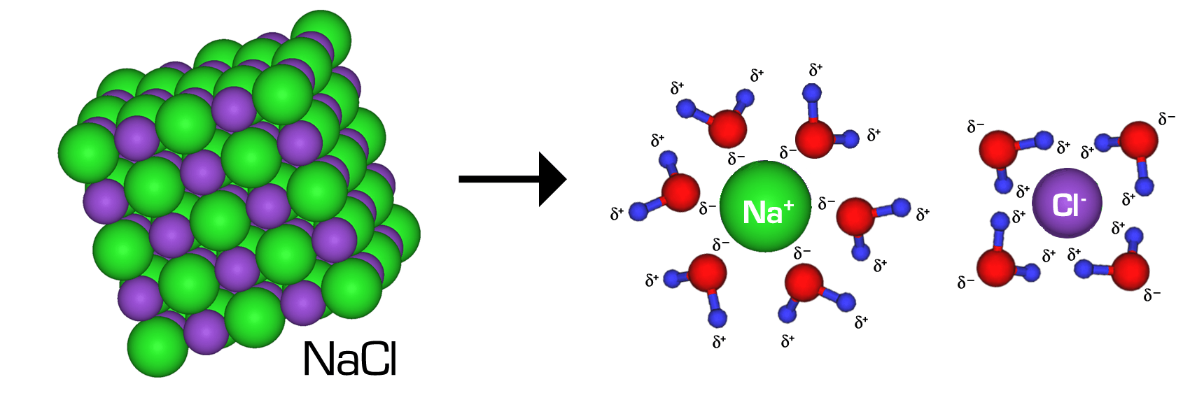 NaCl crystal dissolving in water due to attraction between the negative dipoles of water and Na+, and the positive dipoles of water and Cl-.