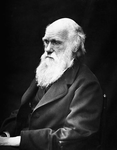 A portrait of Charles Darwin
