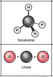 Symmetrical molecules