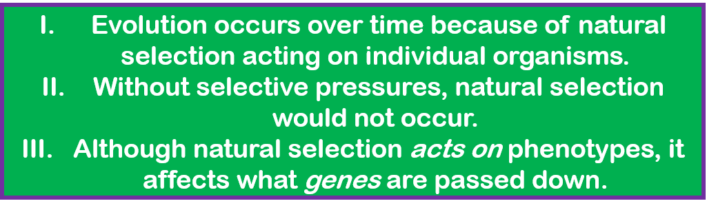 1: Evolution occurs over time because of natural selection acting on individual organisms. 2: Without selective pressures, natural selection would not occur.  3: Although natural selection acts on phenotypes, it affect what genes are passed down.