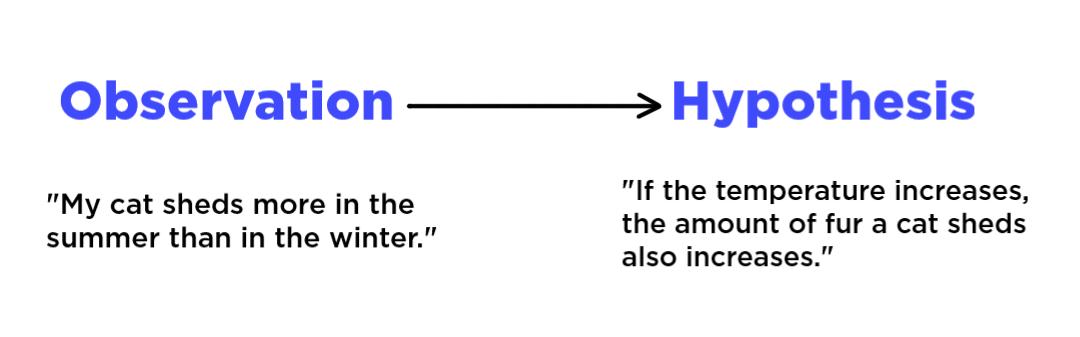 Observations like "my cat sheds more in the summer than in the winter" lead to hypotheses like "if the temperature increases, the amount of fur a cat sheds also increases".