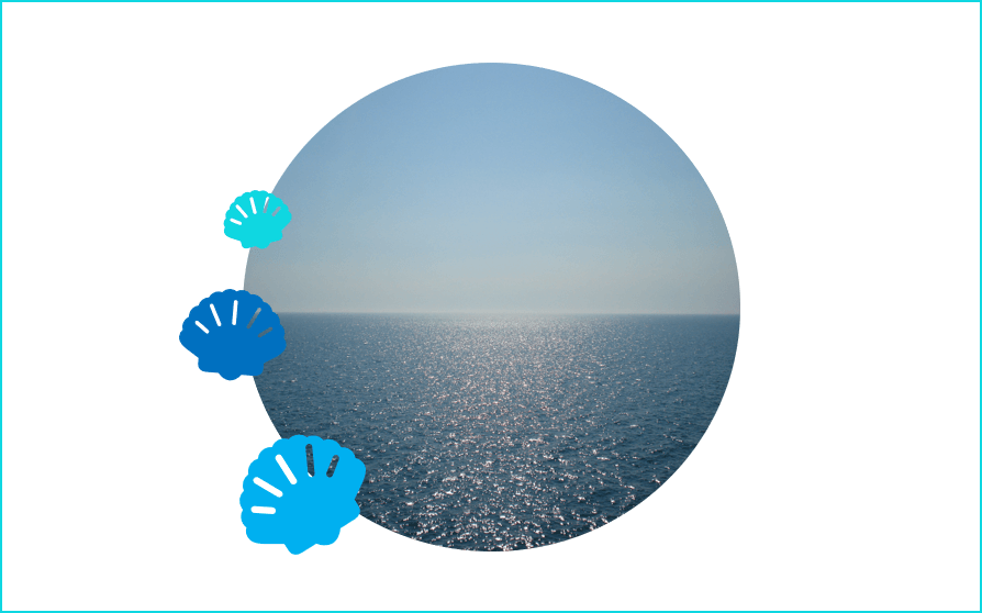 A circular picture of the ocean, decorated with three blue shells on the side.