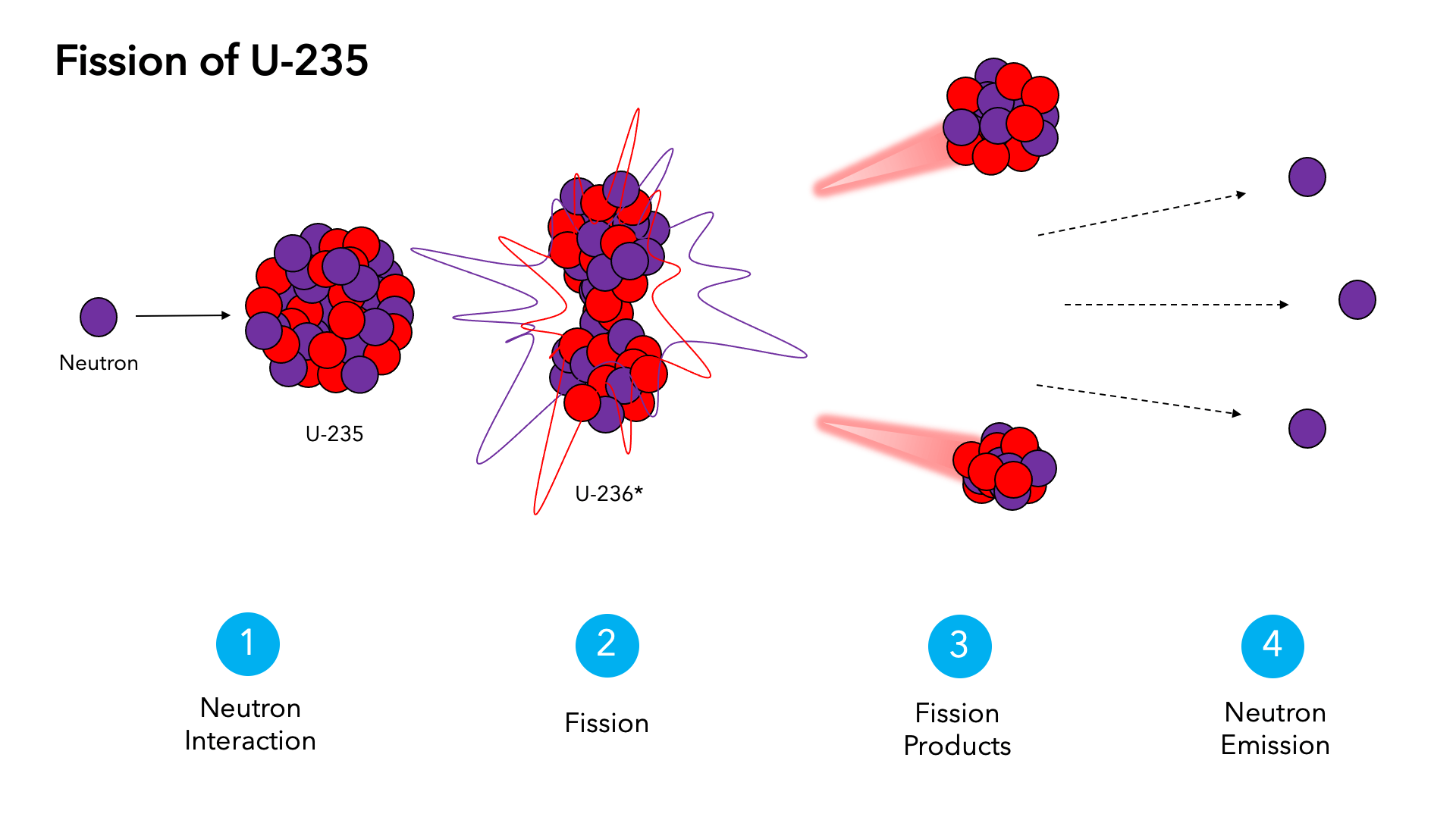 steps of nuclear fission