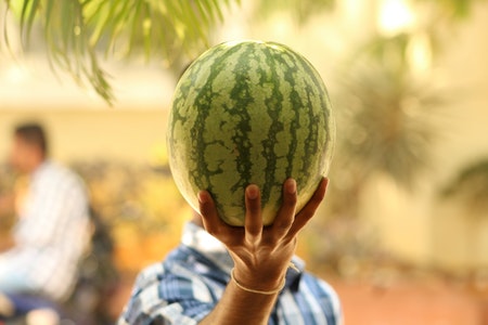 Watermelon.