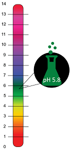 A pH scale. pH 0 to 7 is acidic and 7 to 14 is basic.