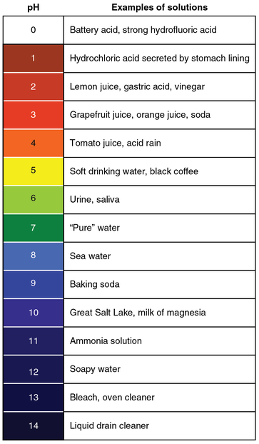 The pHs of different household items from 0 to 14 are shown. In order starting a 0, they are battery acid, stomach acid, lemon juice, orange juice and soda, acid rain, black coffee, saliva, pure water, sea water, baking soda, milk of magnesia, ammonia solution, soapy water, bleach, and liquid drain cleaner.