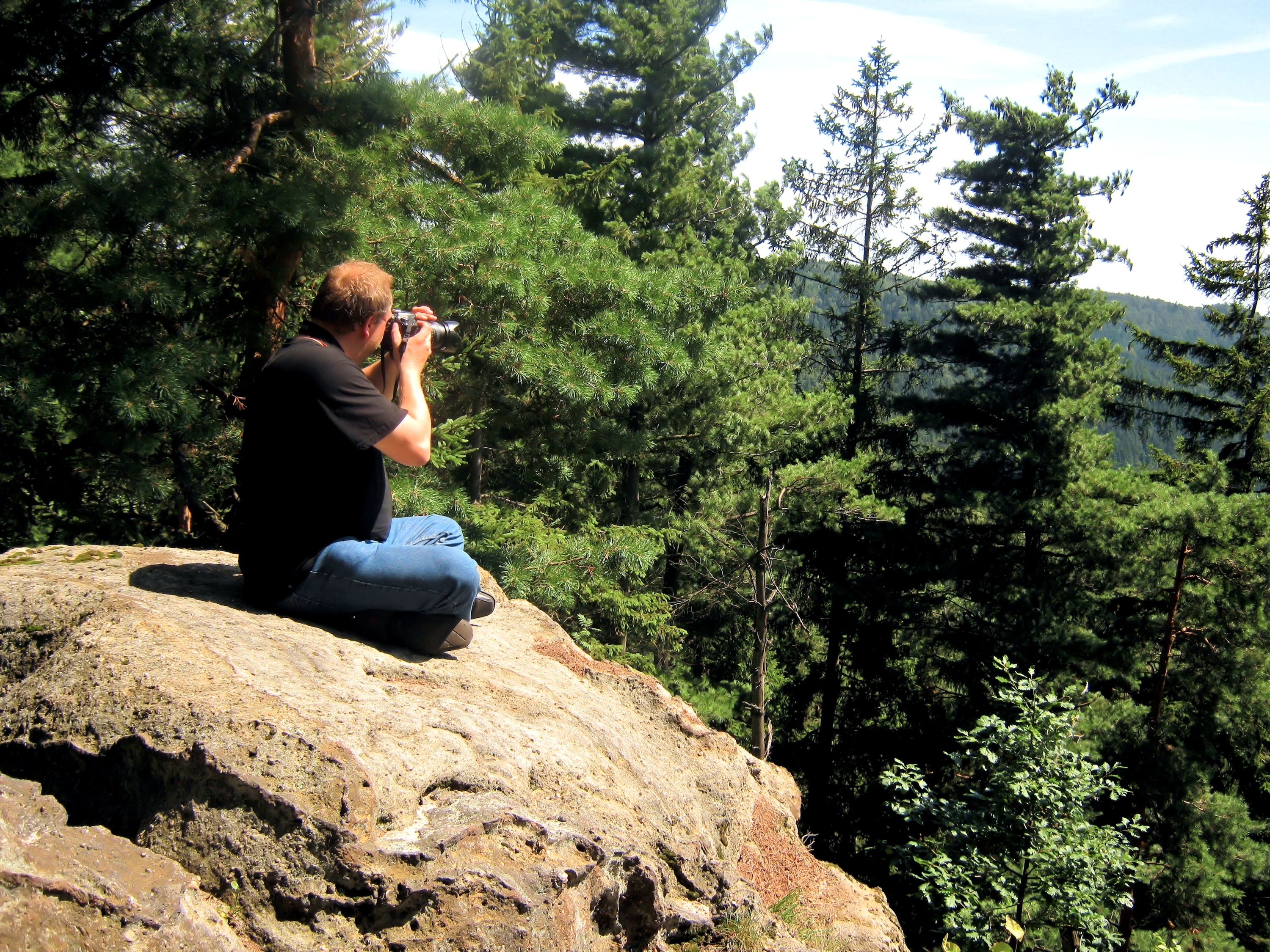 A man taking a photograph of a forest.