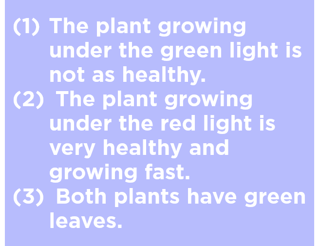 Observations of the plants in your laboratory