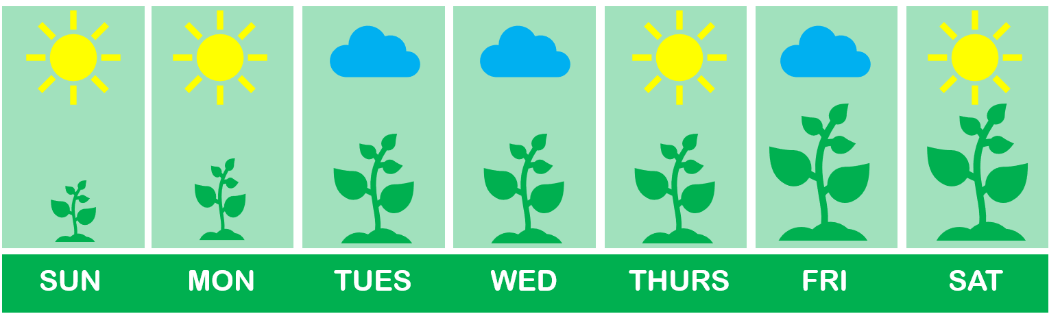 A plant grows when it is sunny outside, but doesn't grow when it is cloudy.