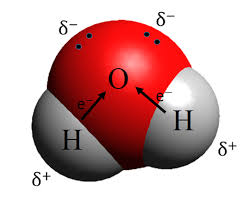 A molecule of water