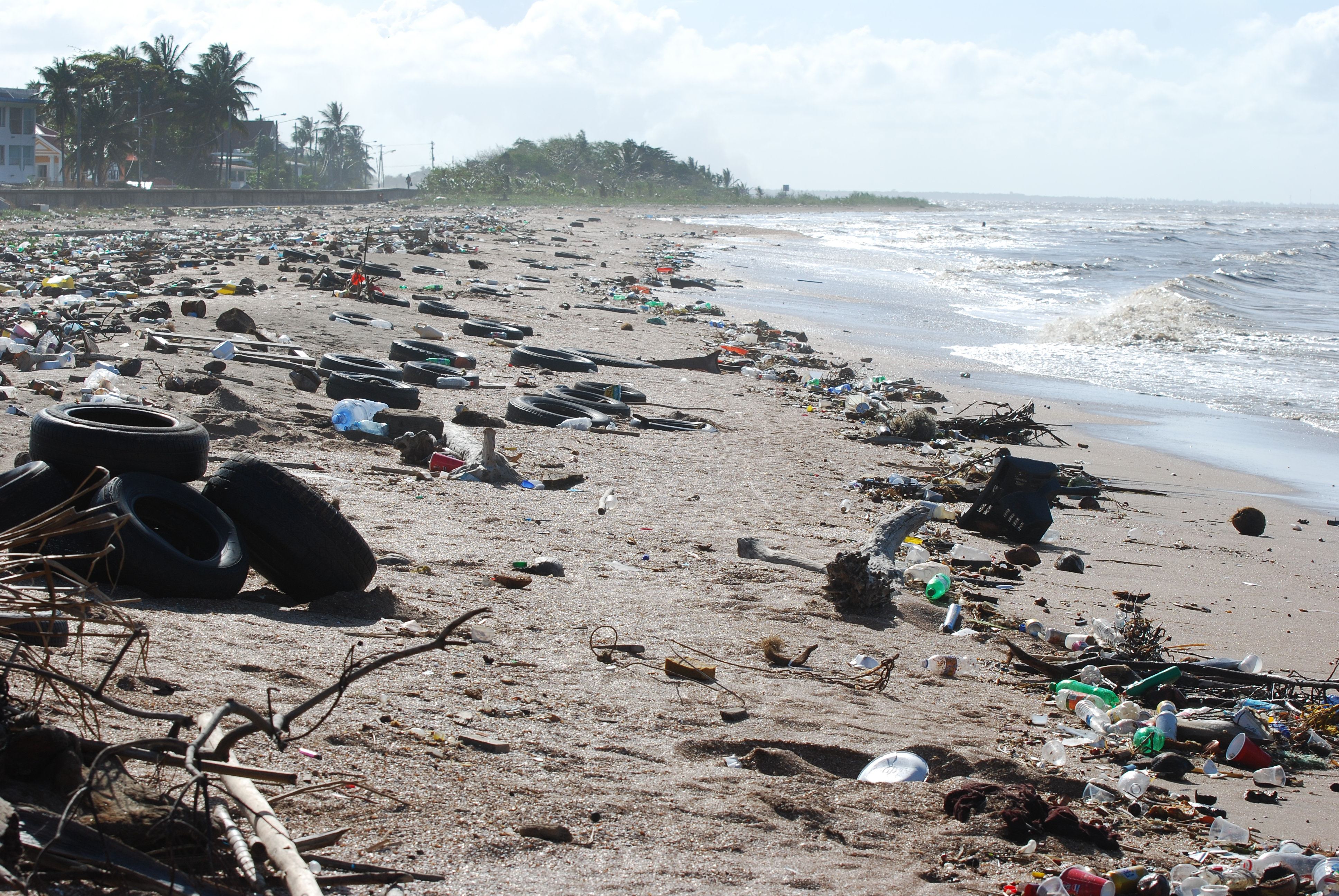A beach covered in trash