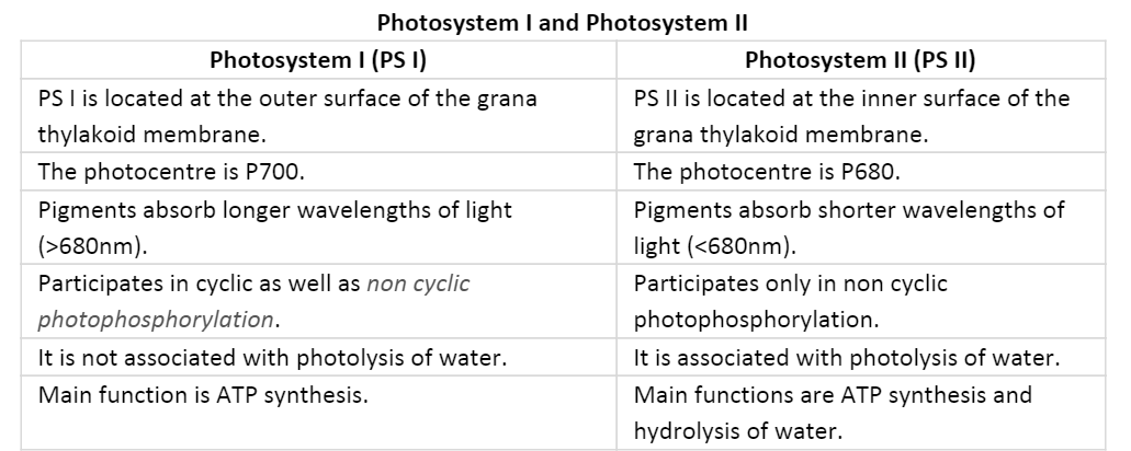 photosystem 1 vs photosystem 2