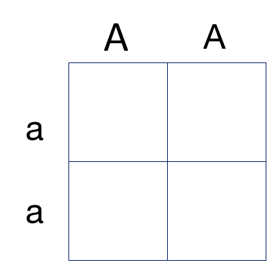 Two parents are bred to create a genetic cross.  One parent is homozygous recessive while the other is homozygous dominant.  
