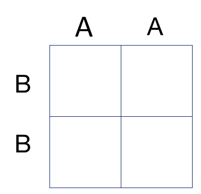 This is a picture of a Punnett square. The top side for one parent has A in one column and A in the other column. The other side has B in one row and B in the other row.
