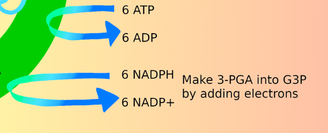 The image is a cropped portion of the original diagram. This portion shows the steps of reduction as described below.