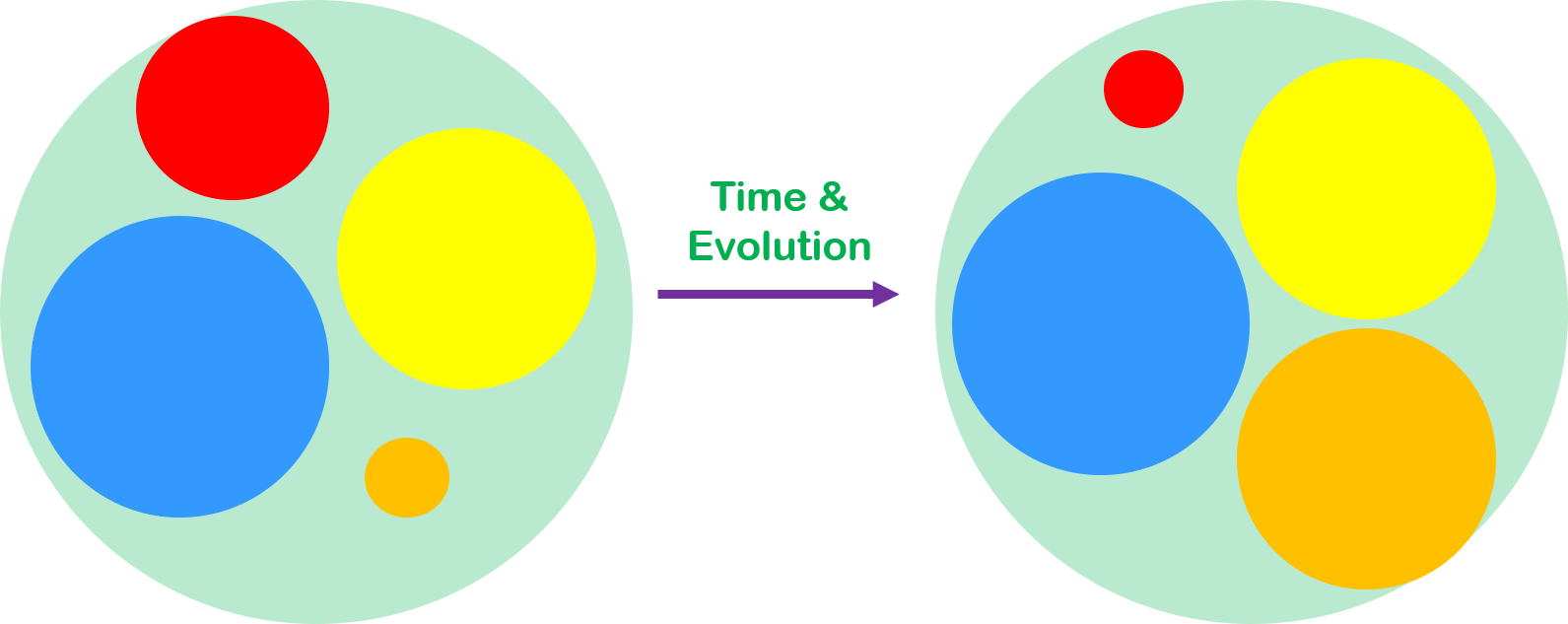 Four circles before and after a period of time. Before, from smallest to largest, were orange, red, yellow. then blue. After, from smallest to largest, is red, and the other three are the same size.