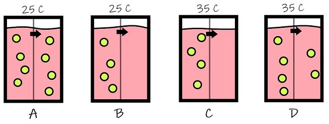Beaker A has 4 molecules of solute on the left side of the membrane, 4 molecules on the right side, and a temperature of 25 degrees Celsius. Beaker B has 4 molecules on the left side of the membrane, none on the right side, and a temperature of 25 degrees Celsius. Beaker C has 4 molecules on the left side, none on the right side, and a temperature of 35 degrees Celsius. Beaker D has 4 molecules on the left side, 2 on the right side, and a temperature of 35 degrees Celsius.