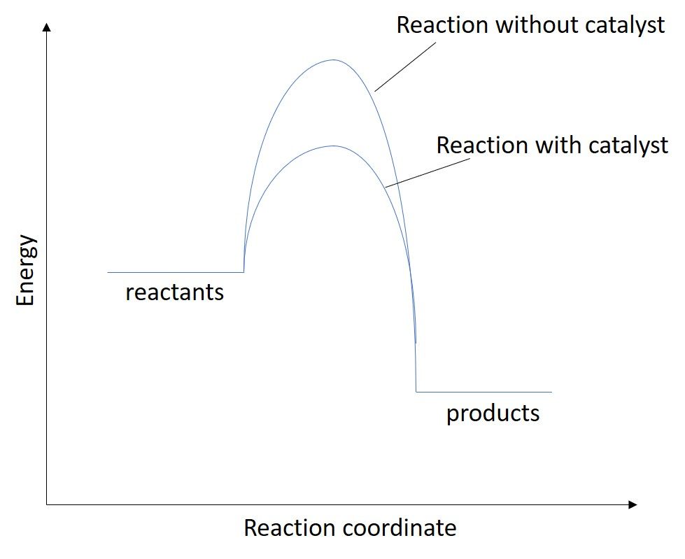 A reaction diagram showing a large activation energy when there is no catalyst, and a smaller one for when there is a catalyst.