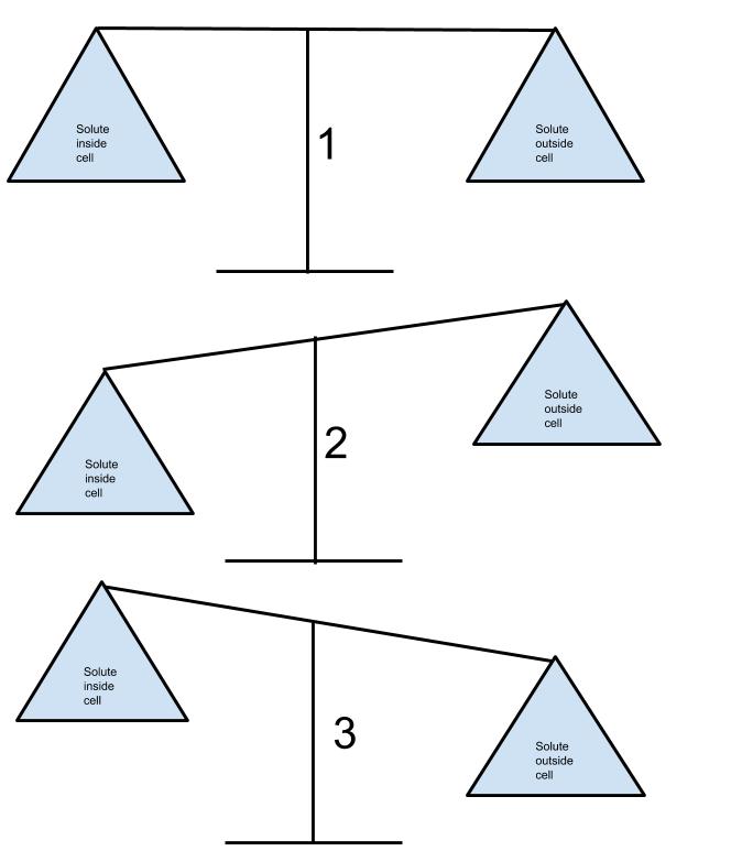 Balance scales