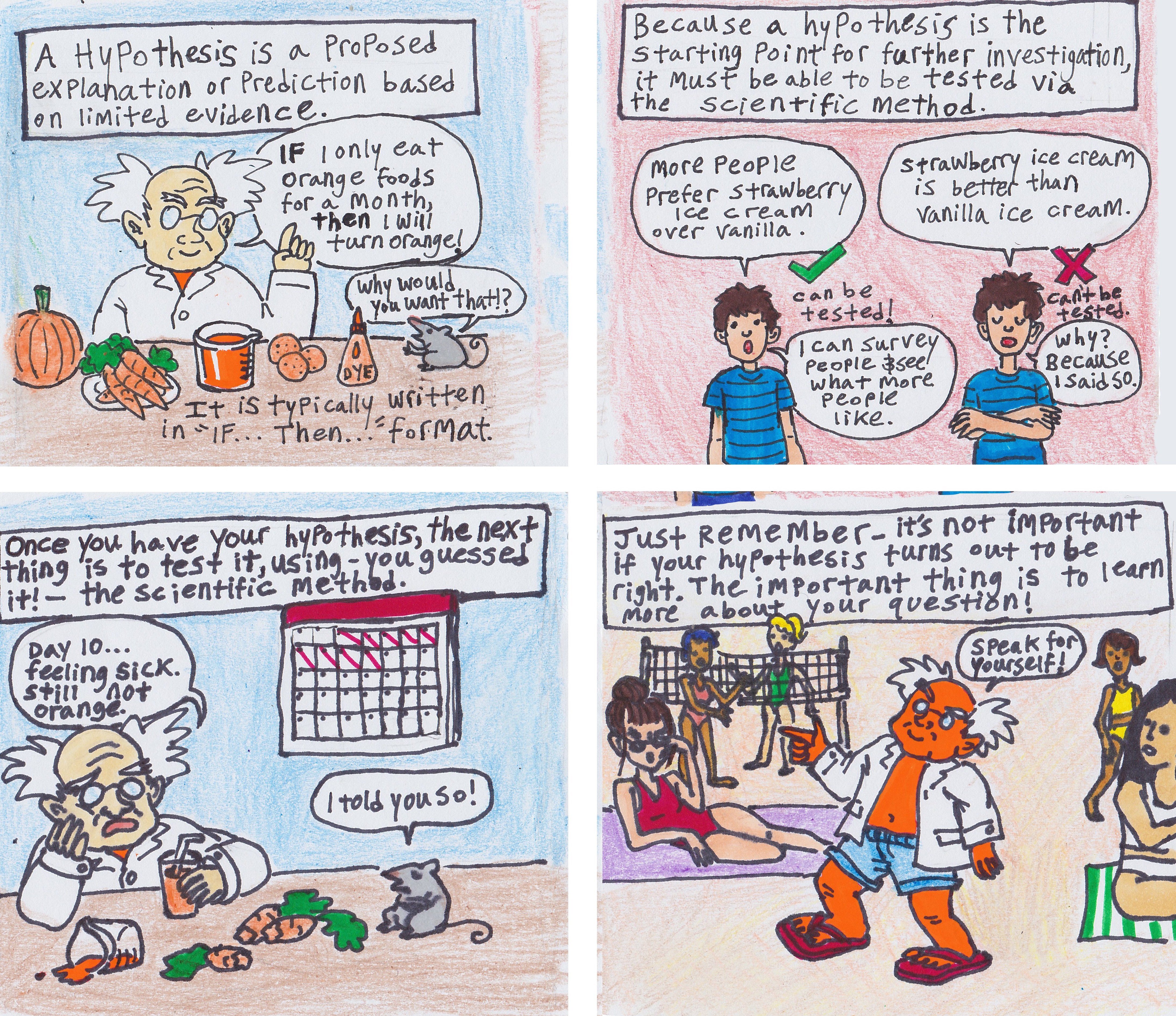 A comic strip explaining what a hypothesis is, featuring a scientist and his mouse companion. The text reads: A hypothesis is a proposed prediction or explanation based on evidence. It is typically written in "If...then..." format. Because a hypothesis is the starting point for further explanation, it must be able to be tested via the scientific method. Once you have your hypothesis, the next thing is to test it, using—you guessed it—the scientific method. Just remember—it's not important if your hypothesis turns out to be right. The important thing is to learn more about your question!