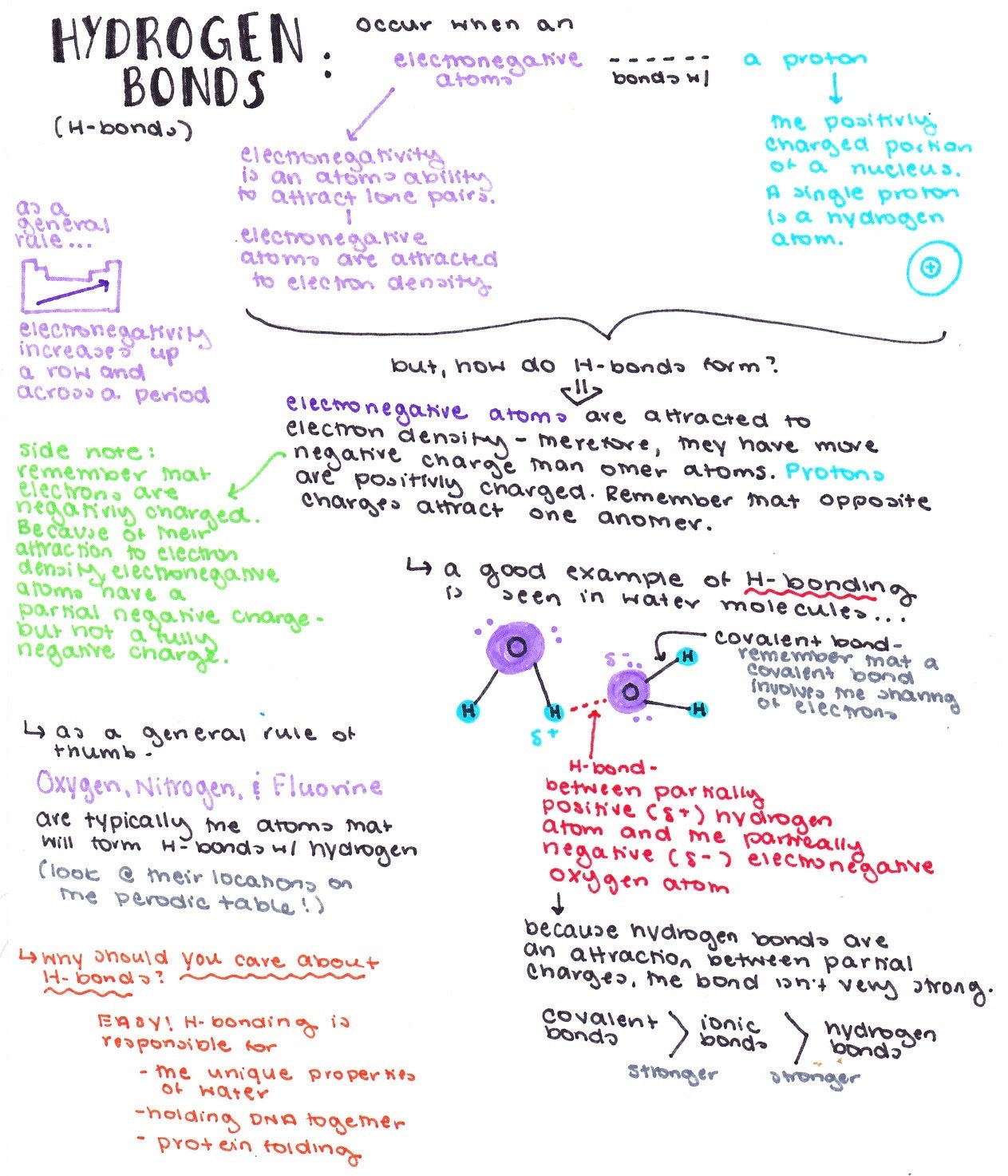 biology hydrogen bonds expii what is hydrogen bonding