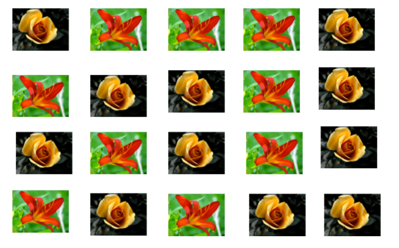 9 pictures of lillies, and 11 pictures of roses