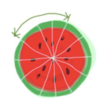 A watermelon cut into 12 slices.