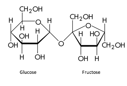 Sucrose, pictured above, is made of glucose and fructose.