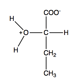The molecule shown has a carboxyl group, an R group, a hydrogen atom, and an alcohol group. 