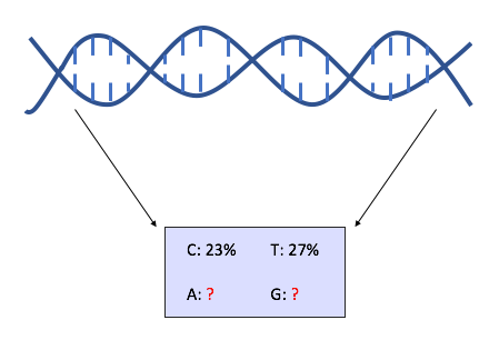 A strand of DNA contains 23% C and 27% T. We don't know how much is adenine or guanine.