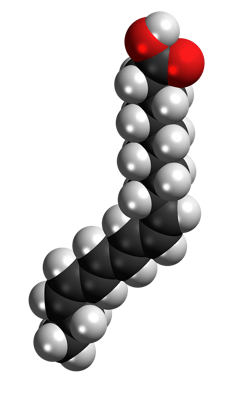 Unsaturated fats contain a kink in their structure. The are made of carbon, hydrogen, and oxygen atoms.