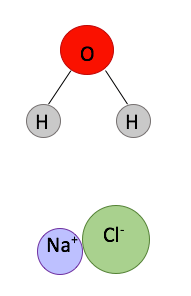 A water molecule and a salt, sodium chloride, are shown.