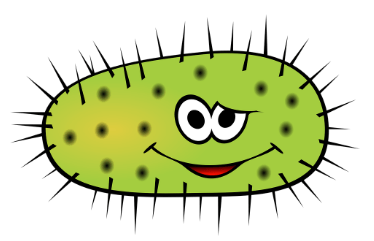 Gruber, a cute cartoon prokaryote.