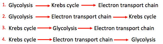 1. glycolysis -> krebs cycle -> electron transport chain
2. glycolysis -> electron transport chain -> krebs cycle
3. krebs cycle -> glycolysis -> electron transport chain
4. krebs cycle -> electron transport chain -> glycolysis