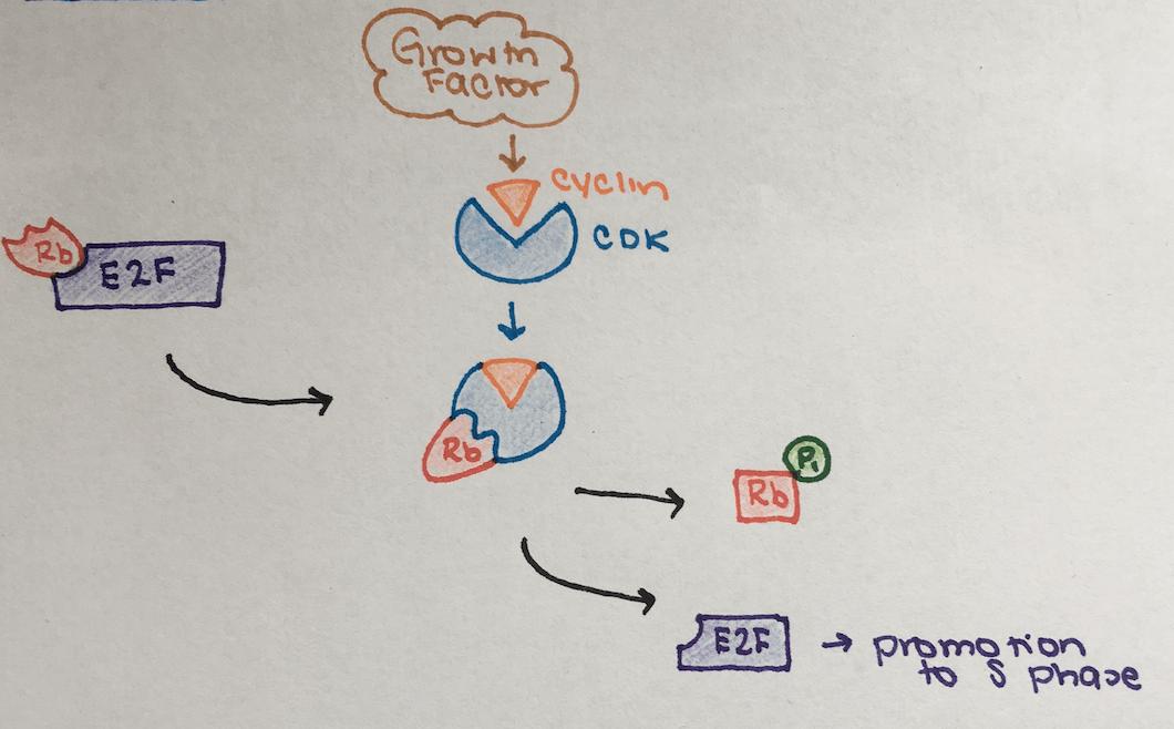An overview of the system