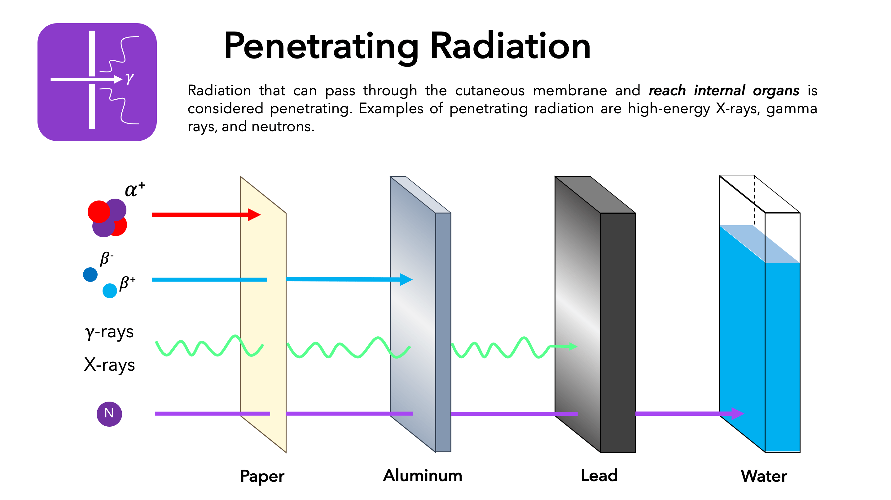 types of penetrating radiation; not all external radiation can harm our internal organs