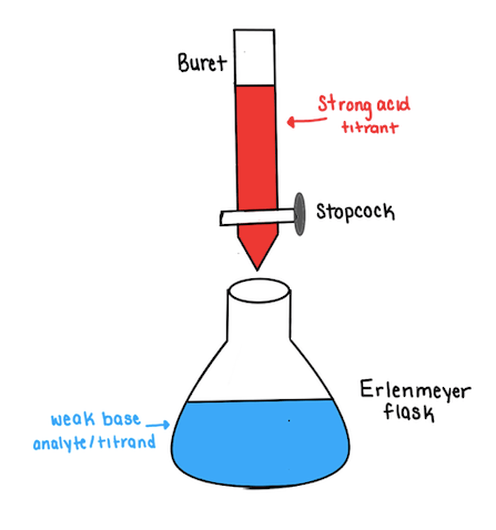 Conventional setup of a laboratory titration of a weak base with a strong acid. The acid is contained within a buret fitted with a stopcock, suspended above an Erlenmeyer flask that contains the weak base analyte